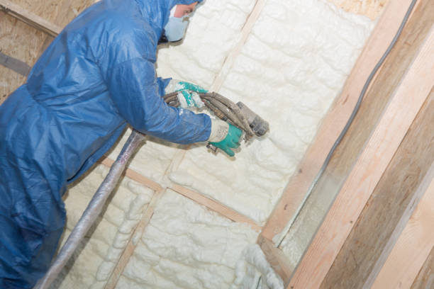 Best Blown-In Insulation  in Hutchinson, MN