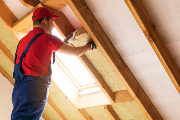 Best Spray Foam Insulation  in Hutchinson, MN